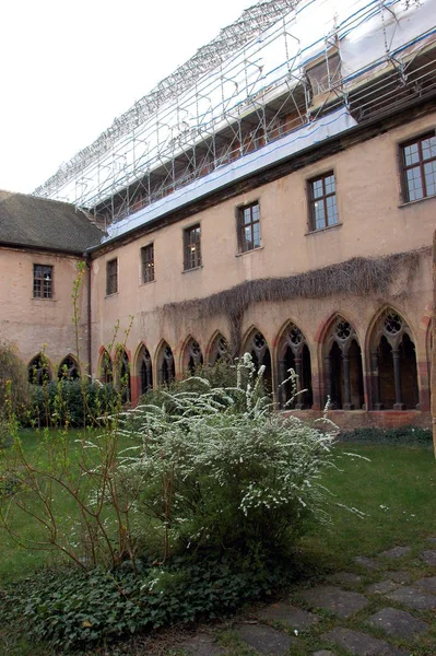 Claustro Antigo Pino Dominicano Colmar Alsace — Fotografia de Stock