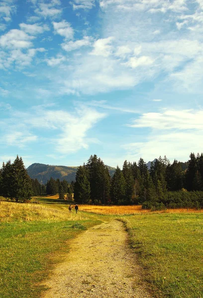 Oberjoch Bayern Deutschland Hill Moor Oberjoch Baviera Alemanha — Fotografia de Stock