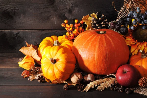 Dankzegging Diverse Pompoenen Met Noten Bessen Granen Voor Een Houten — Stockfoto