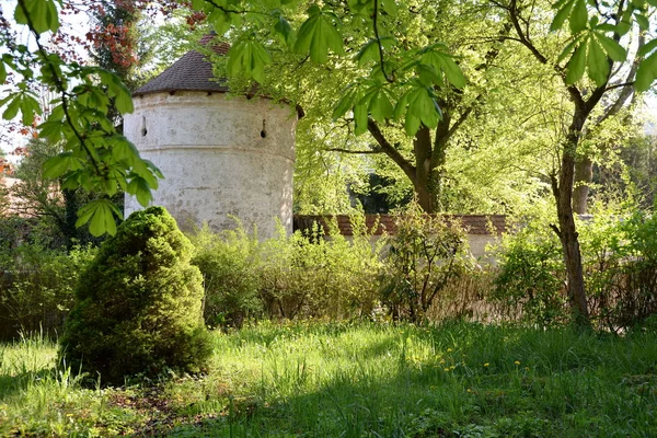 Malowniczy Widok Majestatycznej Średniowiecznej Architektury Zamku — Zdjęcie stockowe