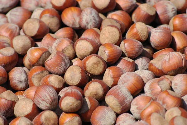 Vegetarische Kost Selektiver Fokus — Stockfoto