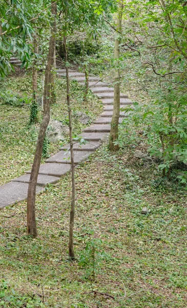 Pavé Trottoir Pierre Dans Forêt Verte — Photo