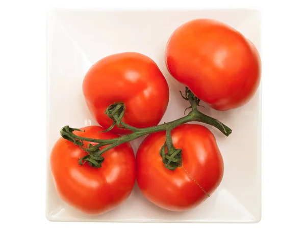 Red Tomatoes Plate White Background — Stock Photo, Image