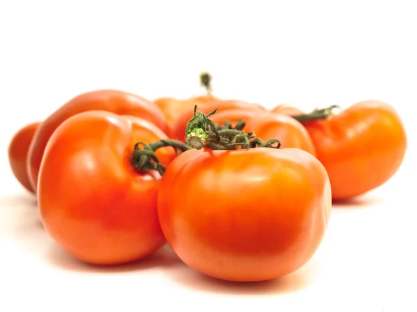 Rote Tomaten Vor Weißem Hintergrund — Stockfoto