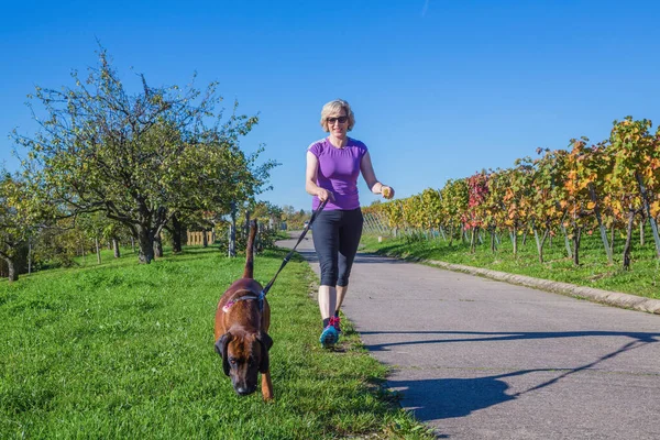 Mulher Andando Com Cão Nos Vinhedos Gassi — Fotografia de Stock