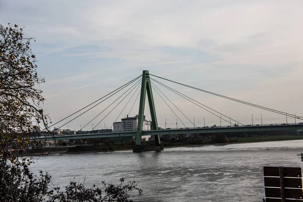 Мост Носорогов Колонии — стоковое фото