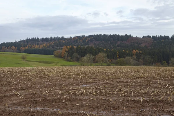 灰色の天候と拡散光で撮影された風景 ドイツ ラインラント プファルツ州アイフェル への収穫場 — ストック写真