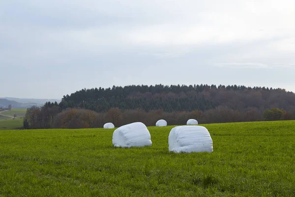 Sellerich Eifel Rhineland Palatinate Almanya Yakınlarındaki Bir Manzara — Stok fotoğraf