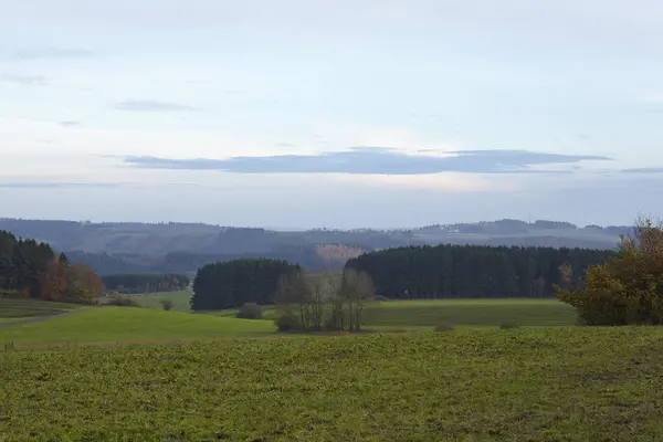 Paisaje Cerca Sellerich Eifel Renania Palatinado Alemania Con Poco Hierba —  Fotos de Stock