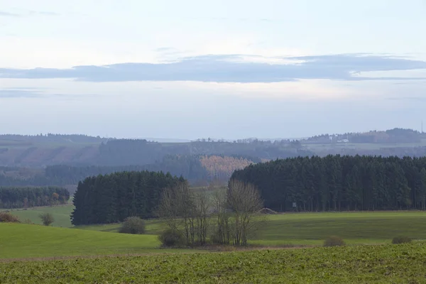 Landscape Sellerich Eifel Rhineland Palatinate Germany Some Grass Forest Taken — Stock Photo, Image