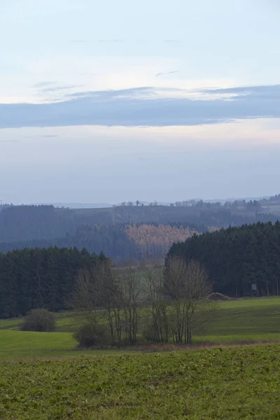 Paysage Près Sellerich Eifel Rhénanie Palatinat Allemagne Avec Quelques Herbes — Photo