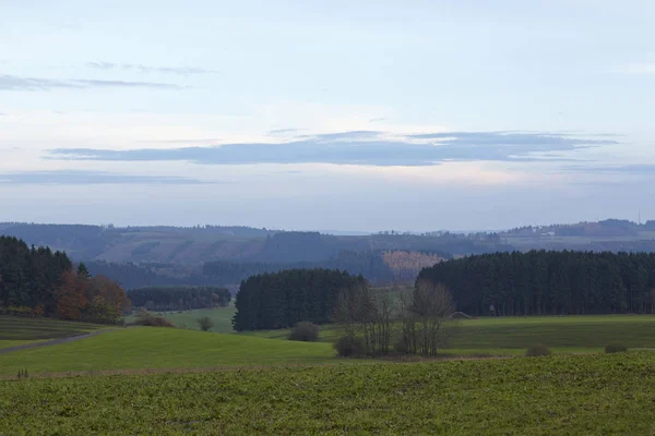 Landscape Sellerich Eifel Rhineland Palatinate Germany Some Grass Forest Taken — Stock Photo, Image