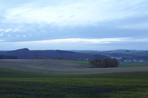 Landscape Sellerich Eifel Rhineland Palatinate Germany Some Grass Forest Taken — Stock Photo, Image