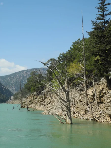 Grön Kanjon Berg Natur — Stockfoto