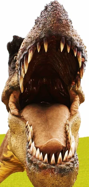 Bir Dinozor Kafası — Stok fotoğraf