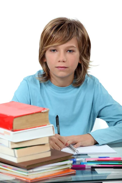 Una Giovane Ragazza Con Una Pila Libri — Foto Stock