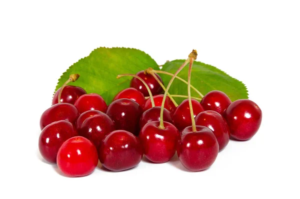 Cerises Rouges Fraîches Sur Fond Gros Plan — Photo