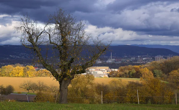 Atmosfera Jesienna Ostrość Selektywna — Zdjęcie stockowe