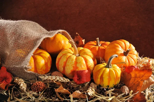 Thanksgiving Various Pumpkins Jute Sack Straw Copy Space Brown Background — Stock Photo, Image