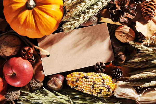 Erntedankfest Pompoenen Appel Maïs Graan Felicitaties Kaart Houten Planken Met — Stockfoto