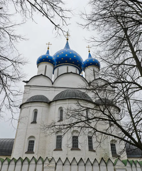 Catedral Natividad Suzdal Kremlin Rusia — Foto de Stock