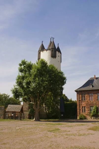 Bergfried Auf Der Burg Steinheim — Stockfoto