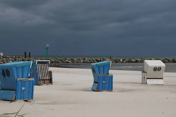 Rząd Pustych Krzeseł Plażowych Piaszczystym Wybrzeżu Morza Bałtyckiego — Zdjęcie stockowe