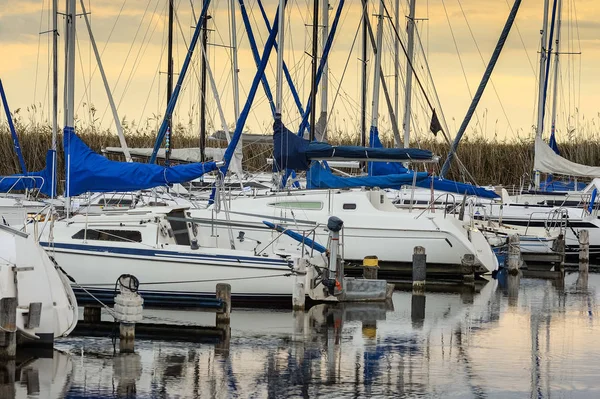 Voiliers Marins Eau Mer Transport Par Bateau — Photo