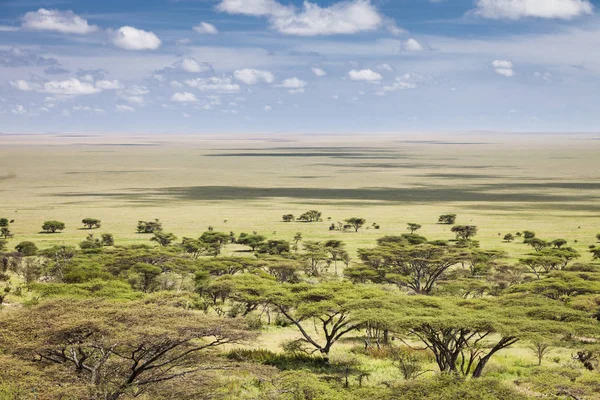 Vastas Planícies Serengeti Tanzânia África — Fotografia de Stock