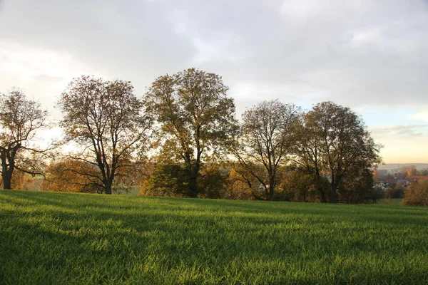 Atmosfera Autunnale Attenzione Selettiva — Foto Stock