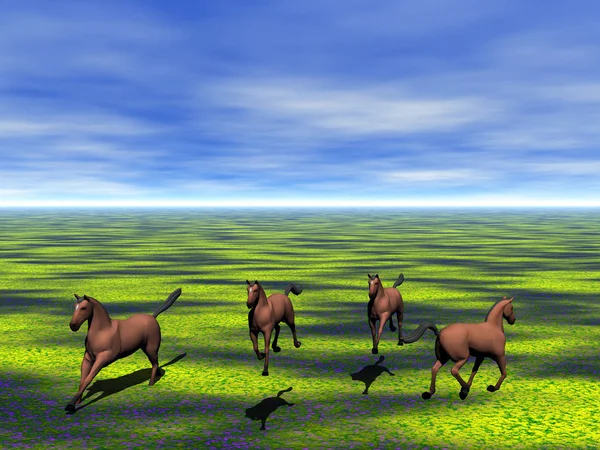 Лошади Открытом Воздухе Днем — стоковое фото