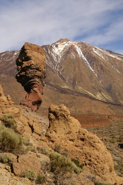Tenerife Kanariefåglar Spanien Vulkan Teide Nationalpark Monterad Teid Stockbild
