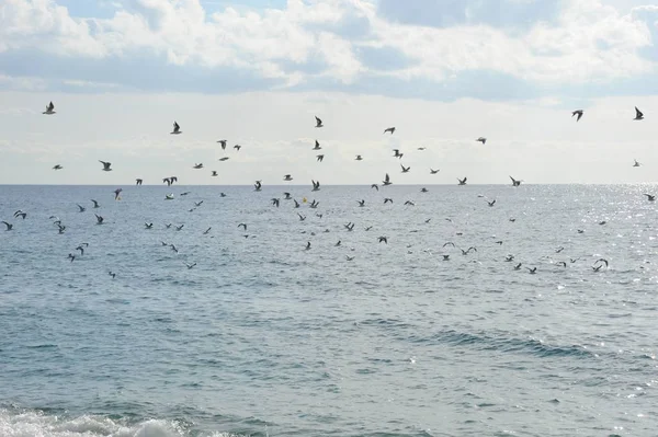 Hägn Denkmal Fassaden Lloret Mar Spanien — Stockfoto