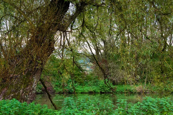 Parque Natural Altmhltal — Fotografia de Stock