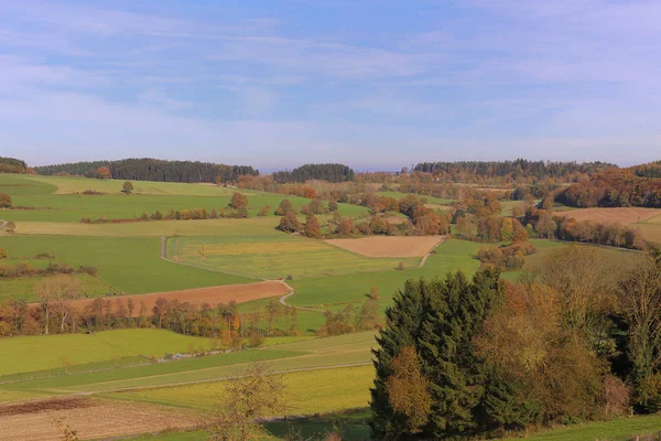 Pestrá Krajina Říši Zelí — Stock fotografie