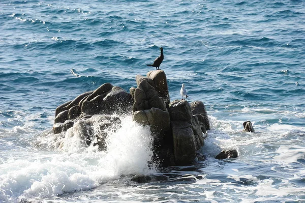 Wellen Mittelmeer Spanien — Stockfoto