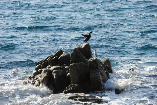 Onde Mare Azzurro Natura Viaggi — Foto Stock