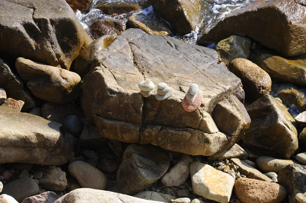 Πλακόστρωτες Πέτρες Στην Παραλία Γκρίζα Βράχια — Φωτογραφία Αρχείου