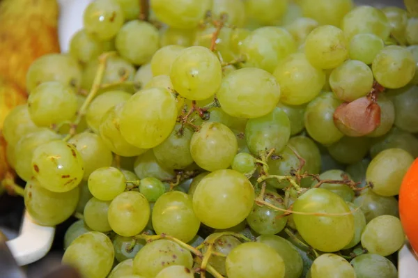 Bagas Uvas Frutas Uva — Fotografia de Stock