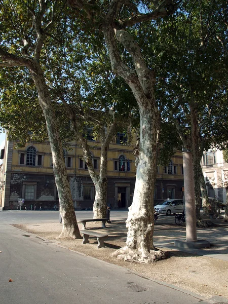 Zicht Piazza Napoleone Lucca Toscane — Stockfoto