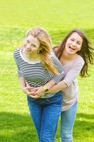 Schilderachtige Kijk Vriendschap Concept — Stockfoto