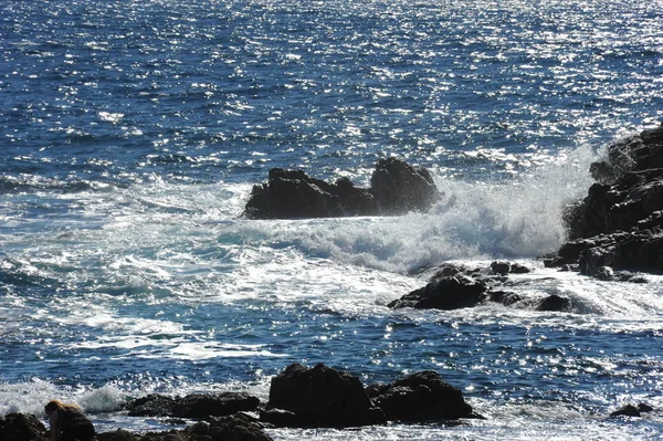 Wellen Von Blauem Meerwasser Natur Und Reisen — Stockfoto