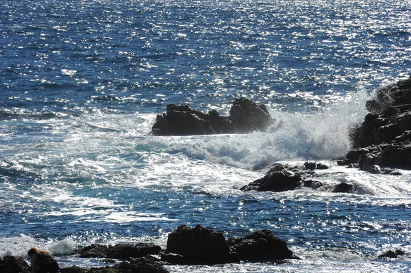 Olas Agua Mar Azul Naturaleza Viajes —  Fotos de Stock