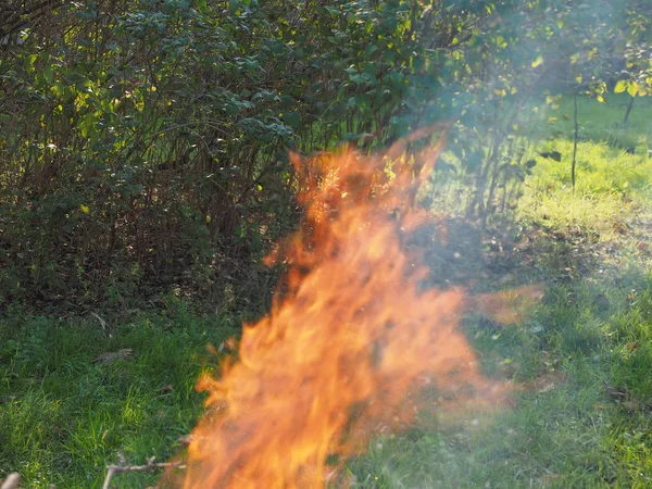 Rote Flammen Des Lagerfeuers Feuer Brennt — Stockfoto
