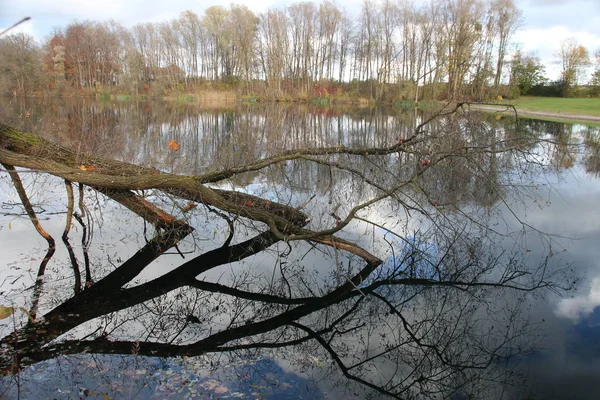 Naturskön Utsikt Över Sjölandskapet — Stockfoto