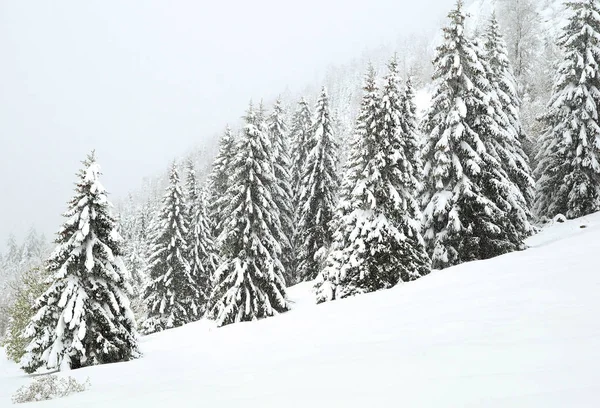 Oberjoch Bayern Deutschland Bavaria Německo — Stock fotografie