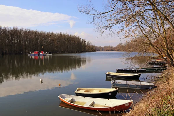 Neckar Färja Zwingenberg Den Gamla Hamnen Leopoldshafen — Stockfoto