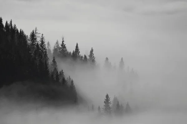 Mlhavý Den Inverzním Počasí — Stock fotografie
