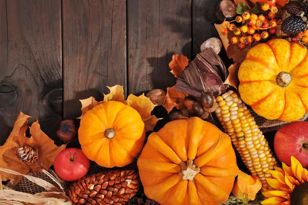 Erntedankfest Verschillende Pompoenen Met Noten Bessen Maïs Granen Houten Planken — Stockfoto