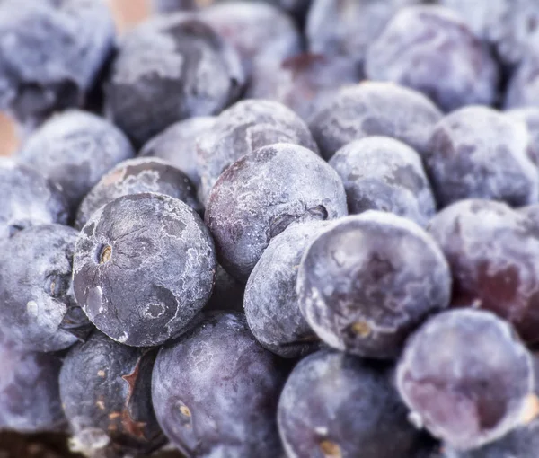 Berries Close Shot Conceito Alimentar Saudável — Fotografia de Stock